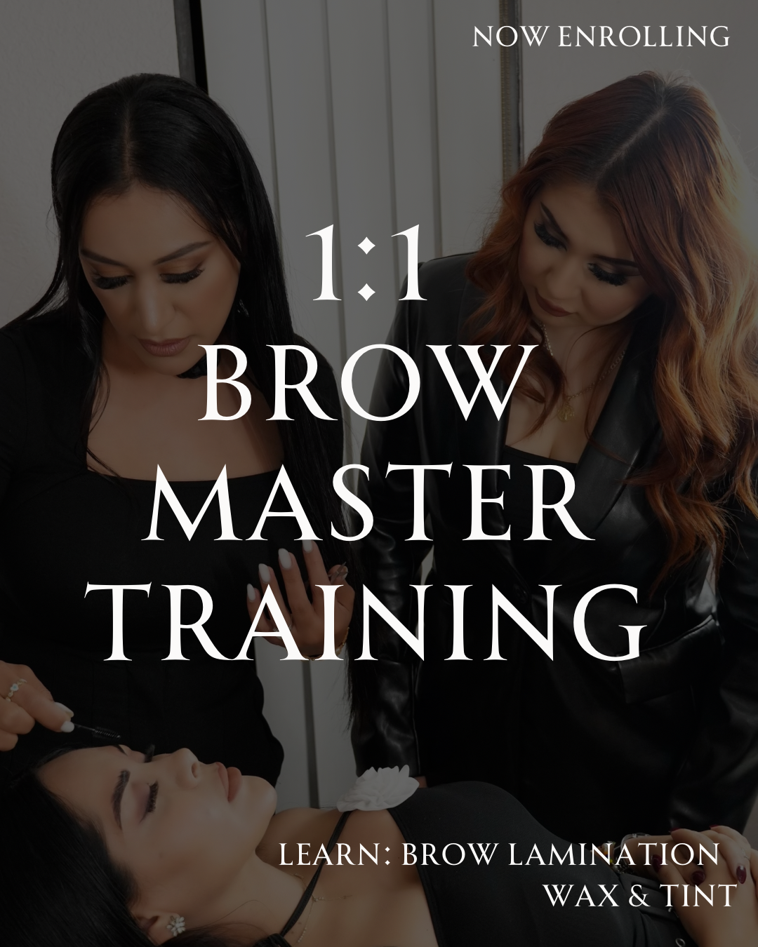1:1 Brow Laminate Wax & Tint Training