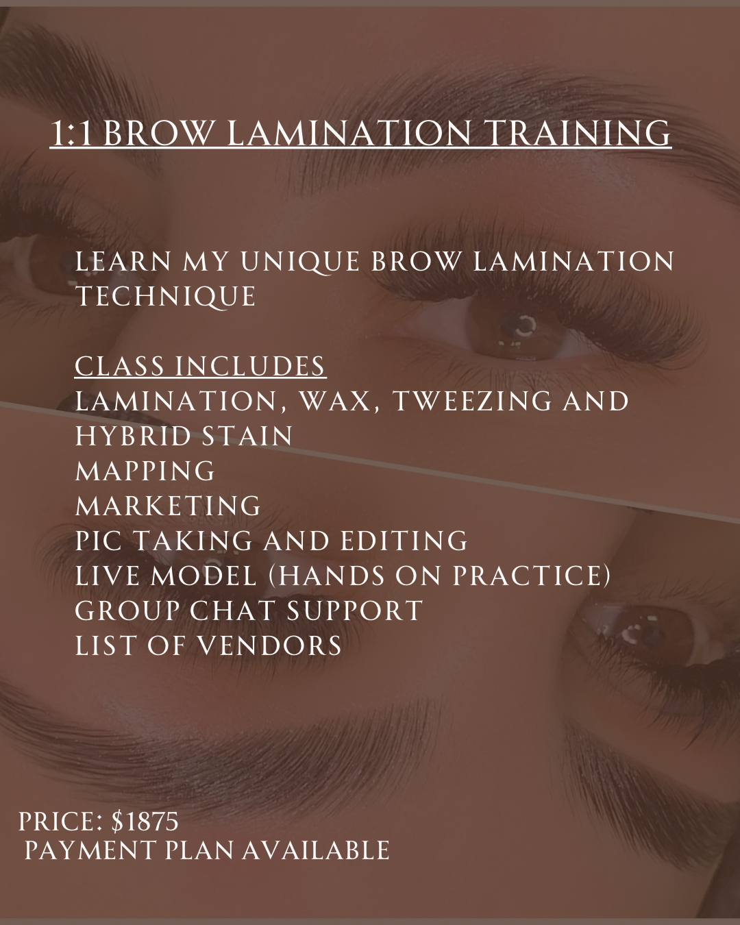 1:1 Brow Laminate Wax & Tint Training